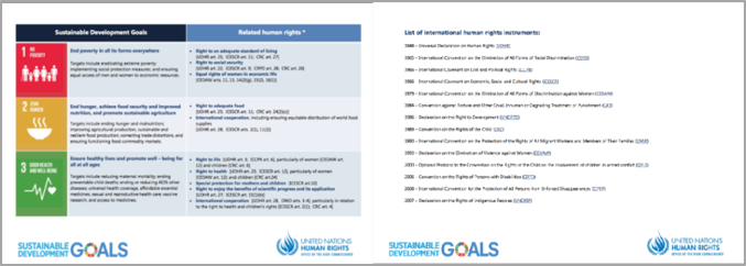 Linking the Sustainable Development Goals and International Human Rights Instruments