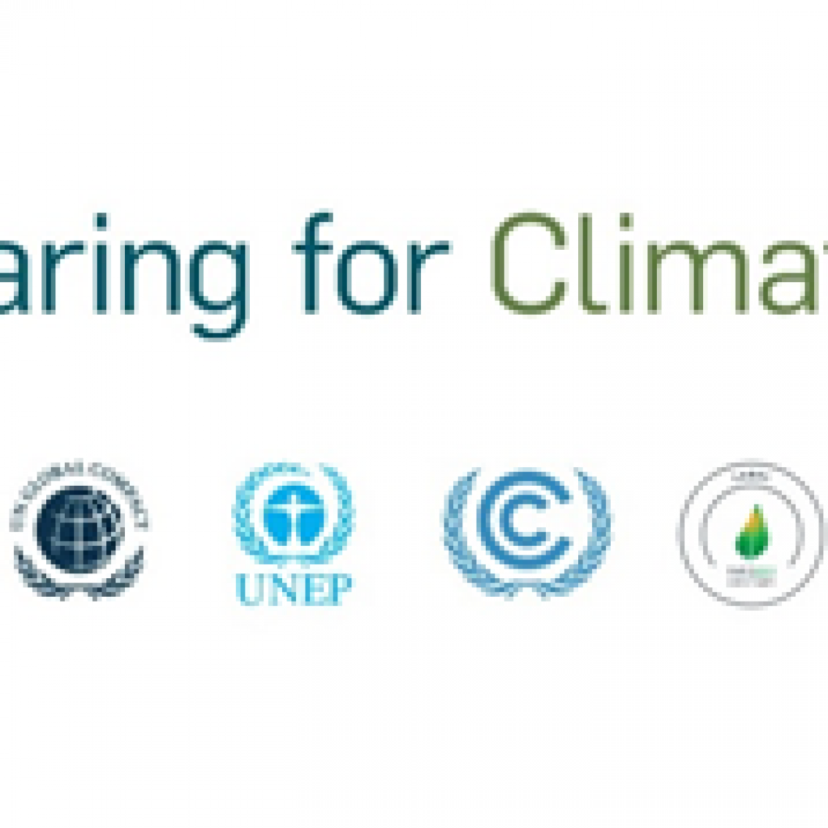 고위급 Caring for Climate 회담, 넷제로 향한 전 세계적 현황과 목표 확인
