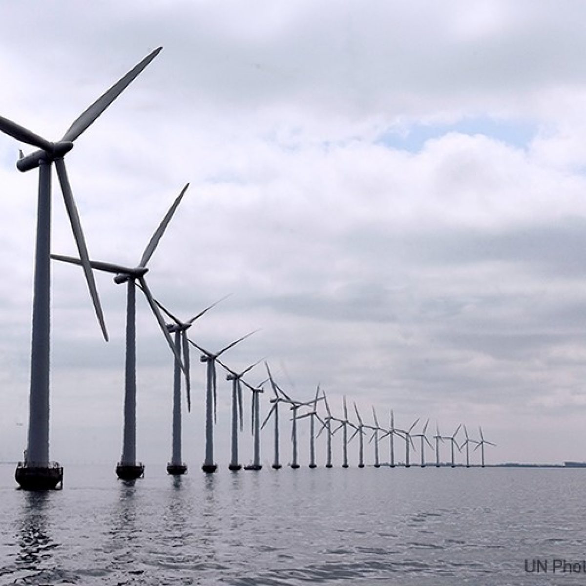 UNGC, COP26 앞두고 ‘해양 스튜어드십’ 연합 발족